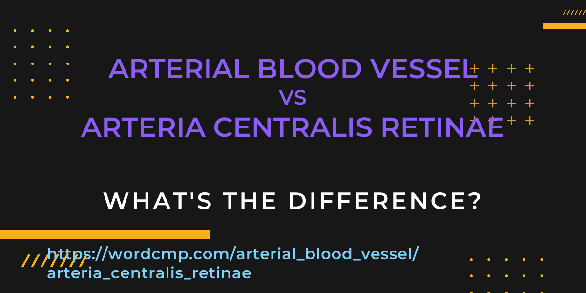 Difference between arterial blood vessel and arteria centralis retinae