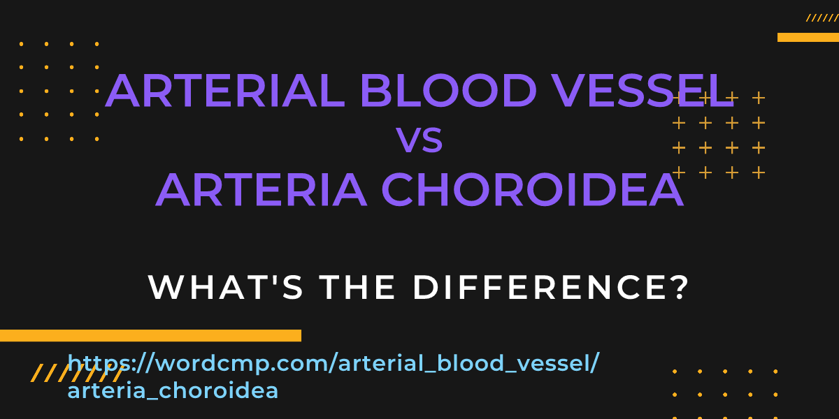 Difference between arterial blood vessel and arteria choroidea