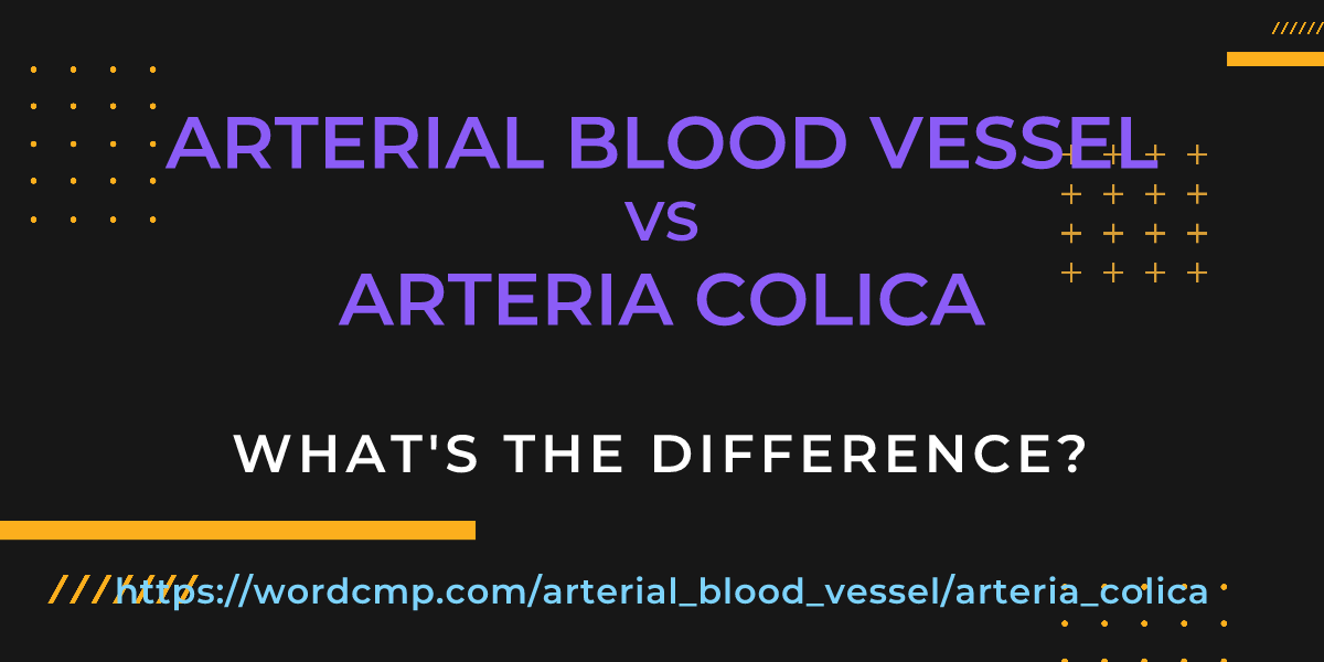 Difference between arterial blood vessel and arteria colica