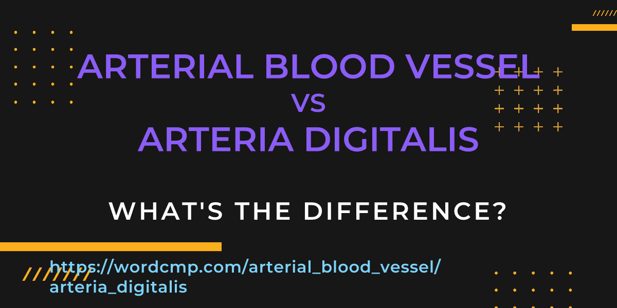 Difference between arterial blood vessel and arteria digitalis