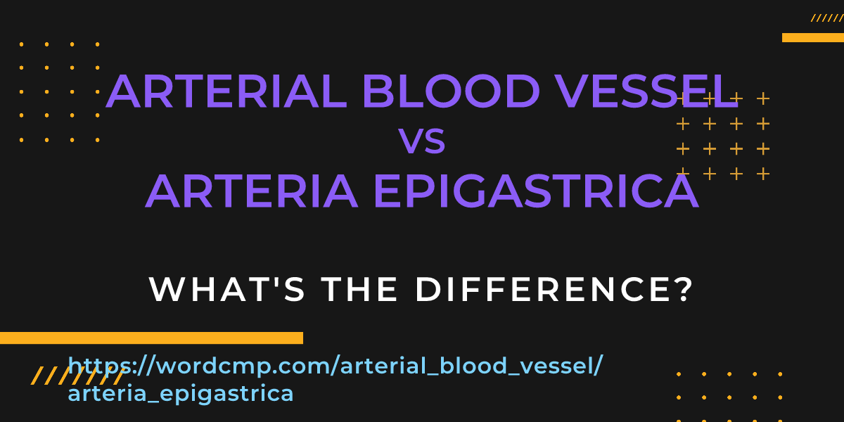 Difference between arterial blood vessel and arteria epigastrica