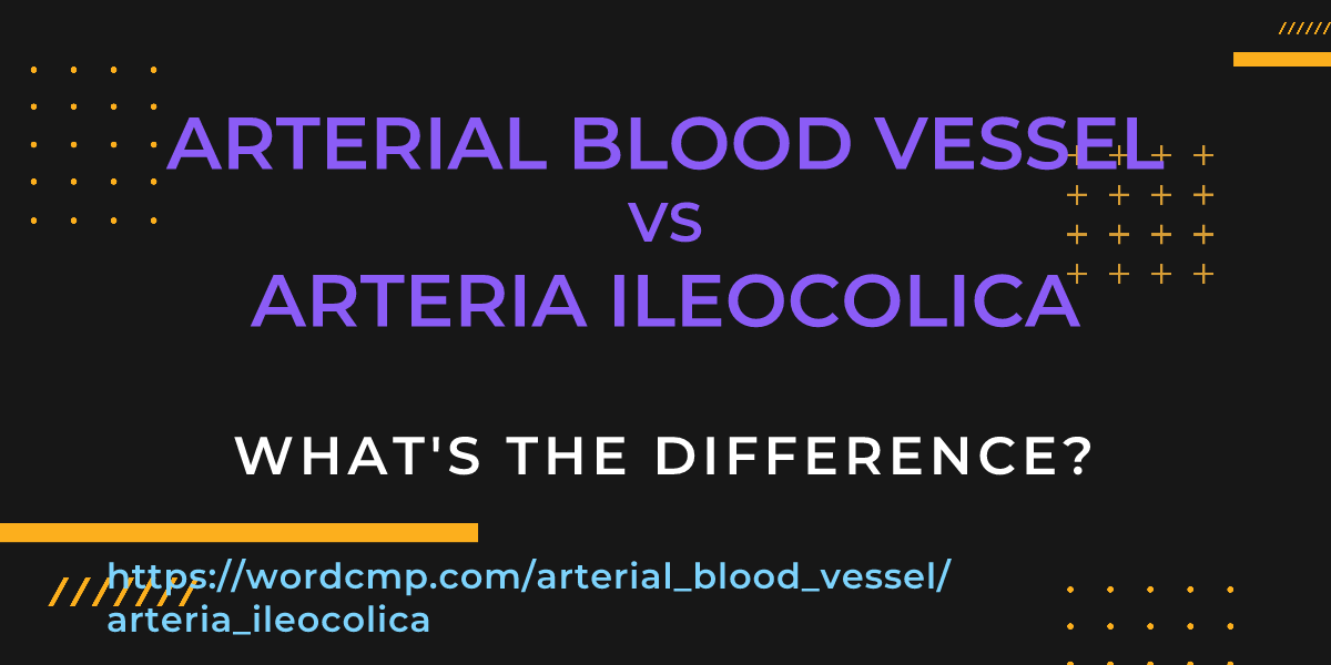 Difference between arterial blood vessel and arteria ileocolica