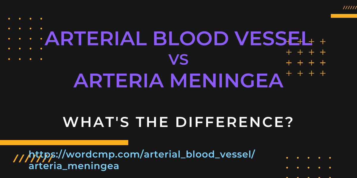 Difference between arterial blood vessel and arteria meningea