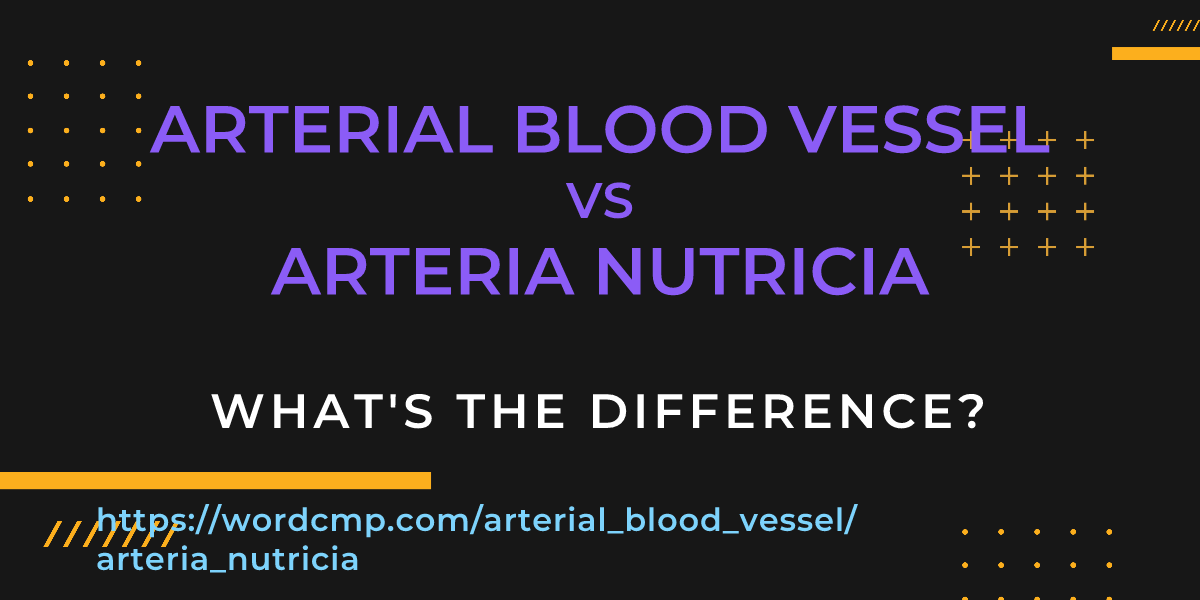 Difference between arterial blood vessel and arteria nutricia
