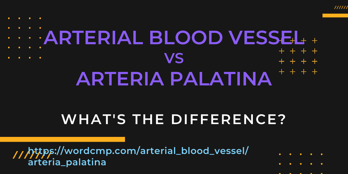 Difference between arterial blood vessel and arteria palatina