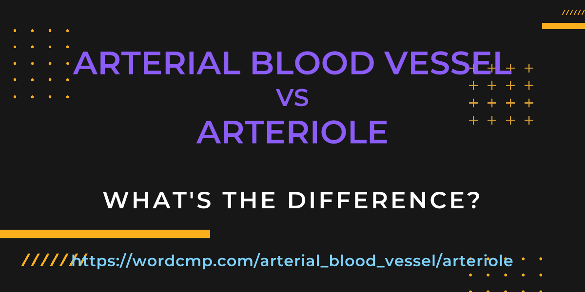 Difference between arterial blood vessel and arteriole