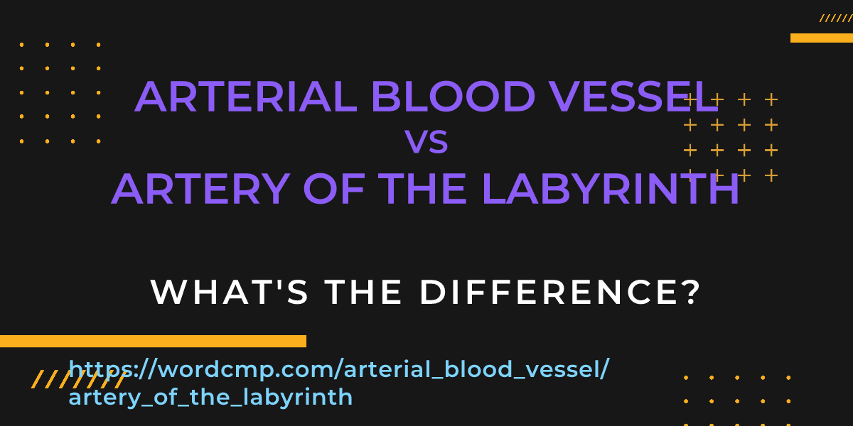 Difference between arterial blood vessel and artery of the labyrinth