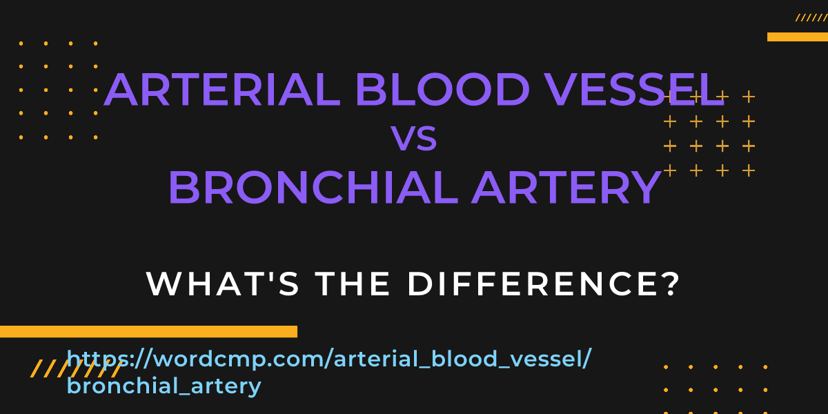 Difference between arterial blood vessel and bronchial artery