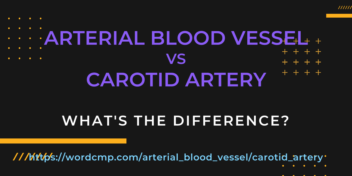 Difference between arterial blood vessel and carotid artery