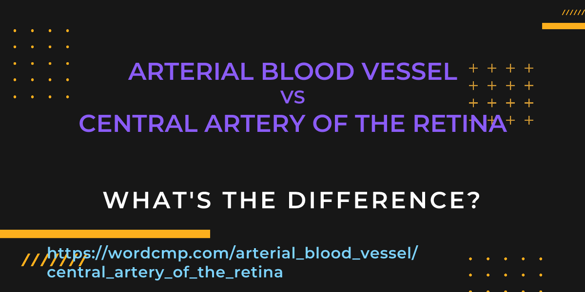 Difference between arterial blood vessel and central artery of the retina