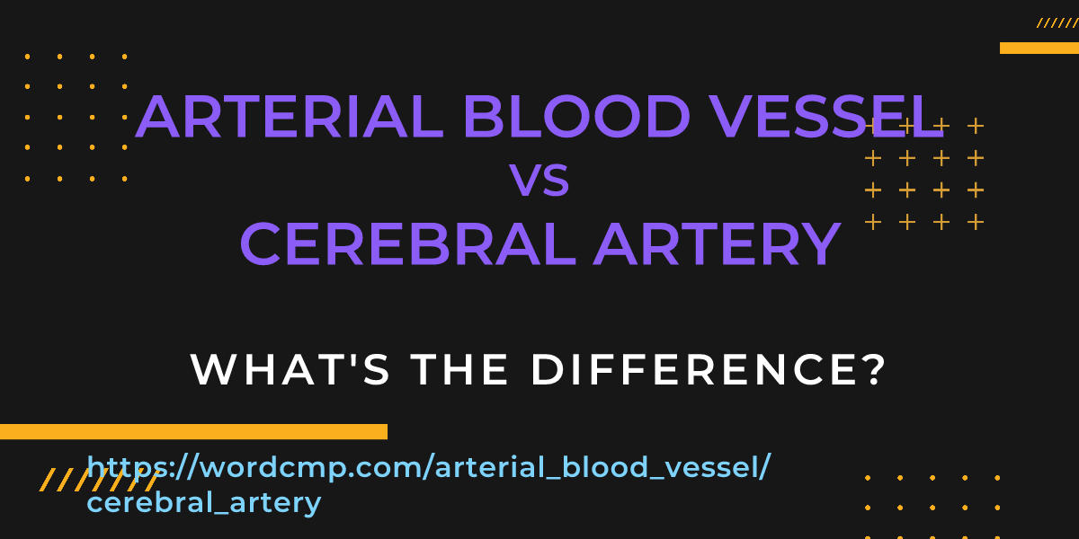 Difference between arterial blood vessel and cerebral artery