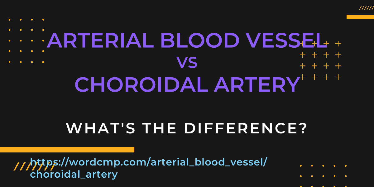 Difference between arterial blood vessel and choroidal artery
