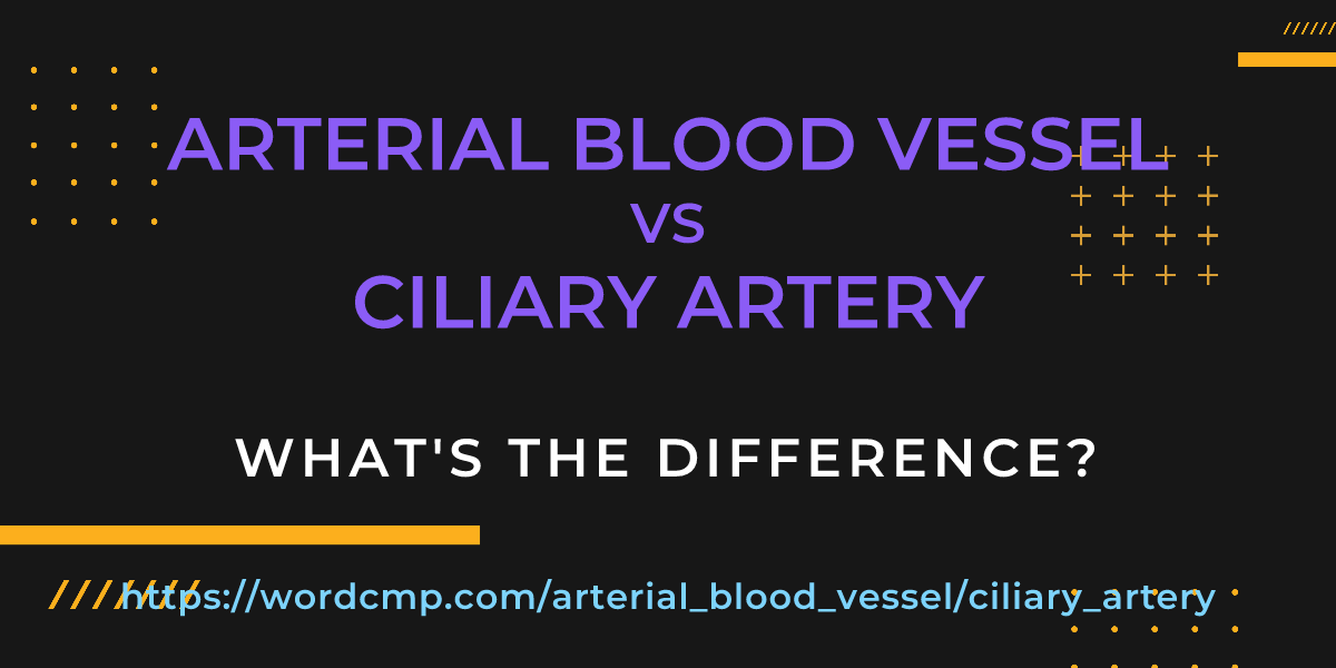 Difference between arterial blood vessel and ciliary artery