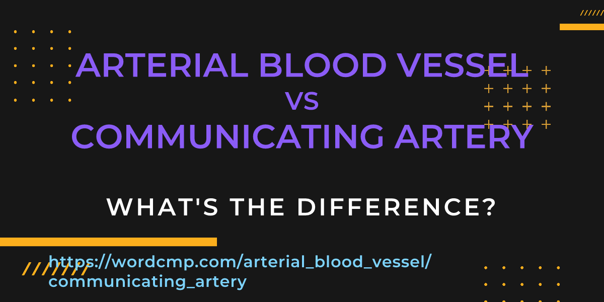 Difference between arterial blood vessel and communicating artery