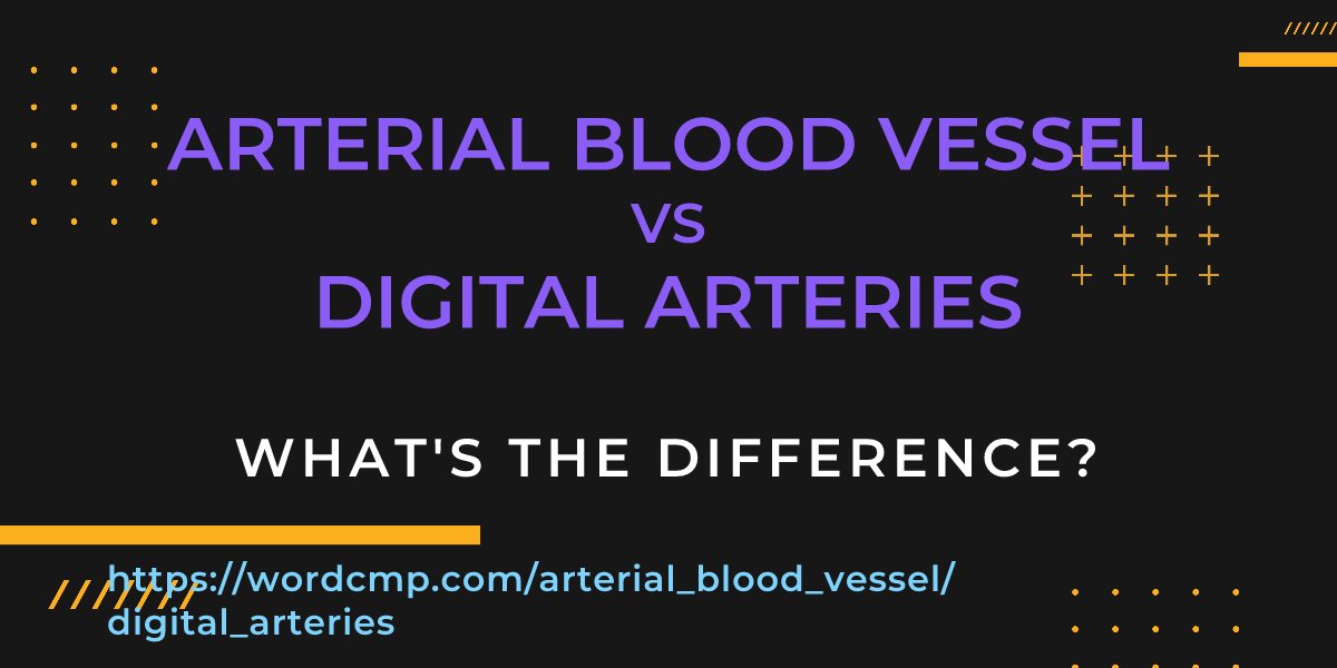 Difference between arterial blood vessel and digital arteries