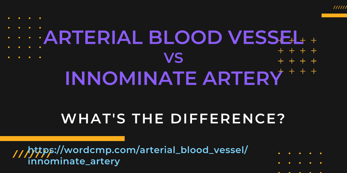 Difference between arterial blood vessel and innominate artery