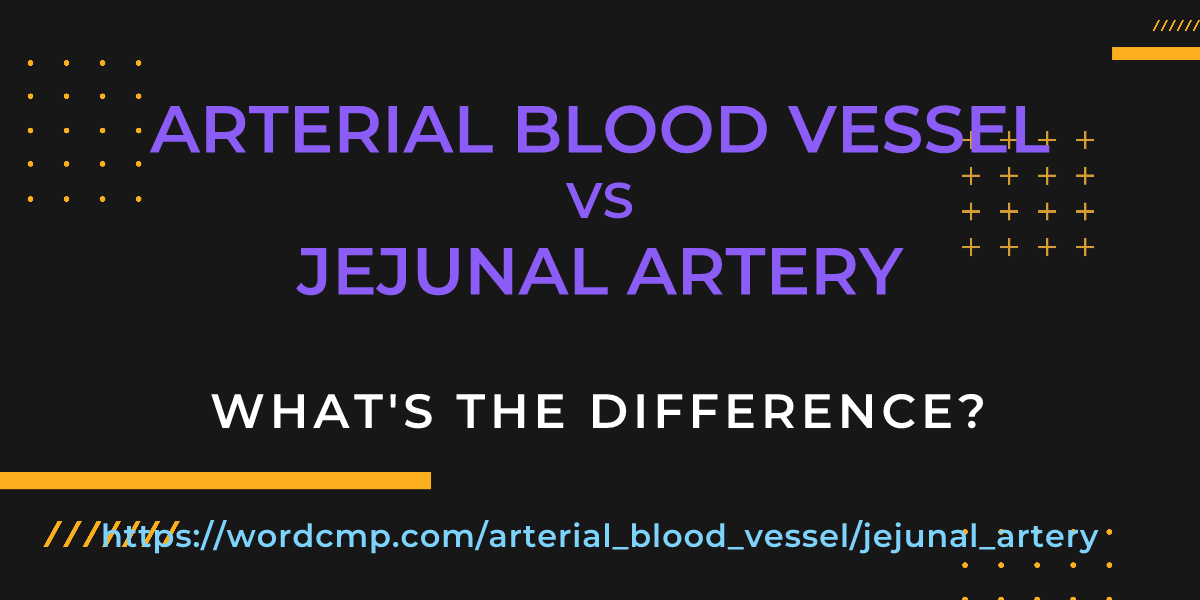 Difference between arterial blood vessel and jejunal artery