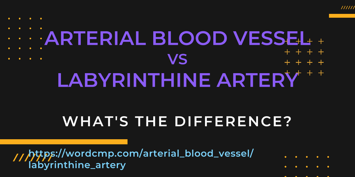 Difference between arterial blood vessel and labyrinthine artery