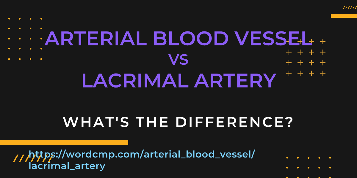 Difference between arterial blood vessel and lacrimal artery