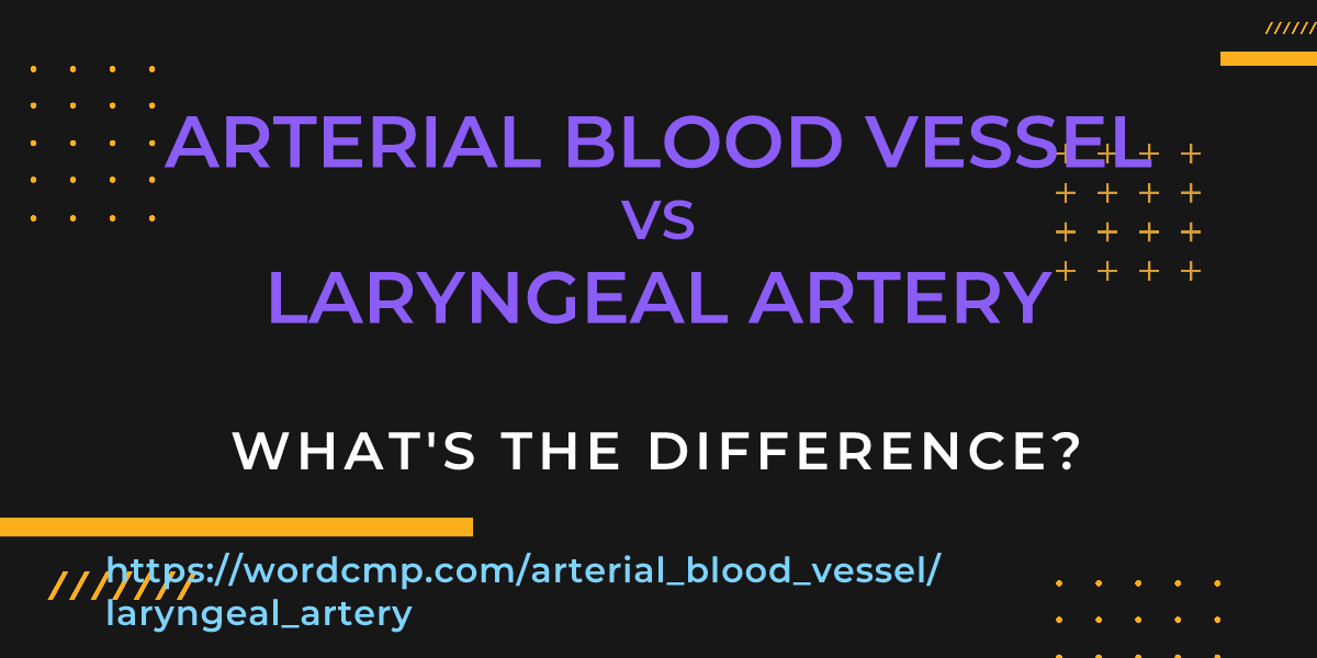 Difference between arterial blood vessel and laryngeal artery
