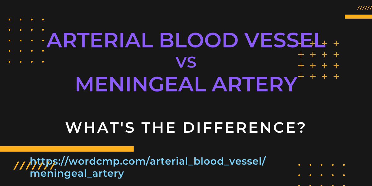 Difference between arterial blood vessel and meningeal artery