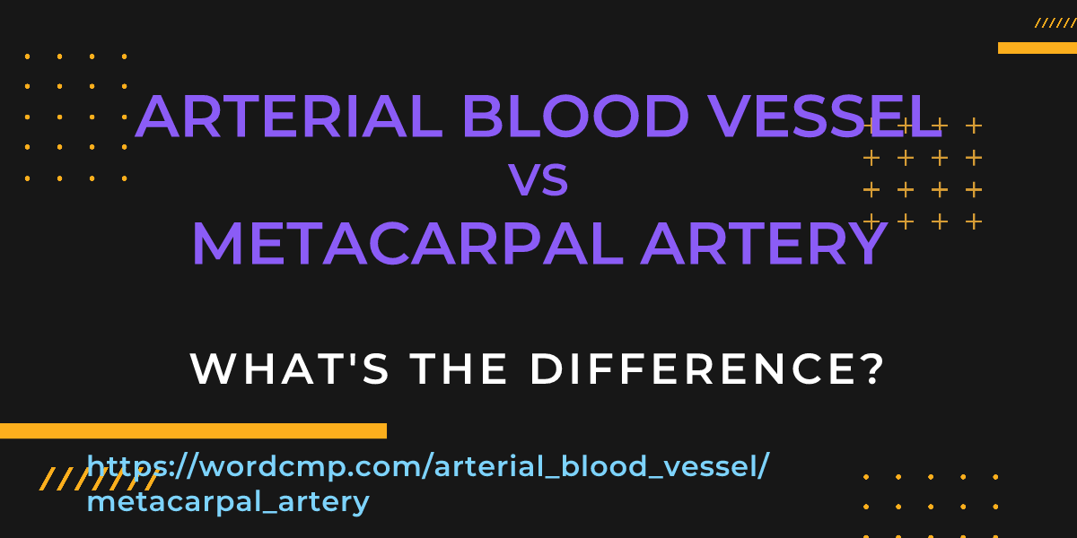 Difference between arterial blood vessel and metacarpal artery