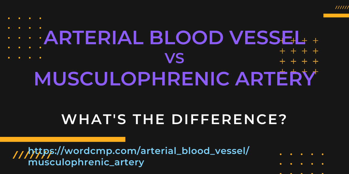 Difference between arterial blood vessel and musculophrenic artery