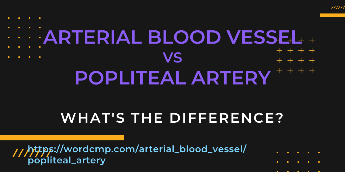 Difference between arterial blood vessel and popliteal artery