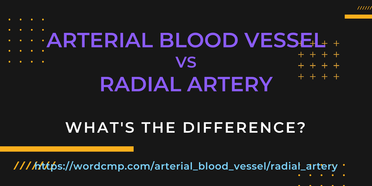 Difference between arterial blood vessel and radial artery