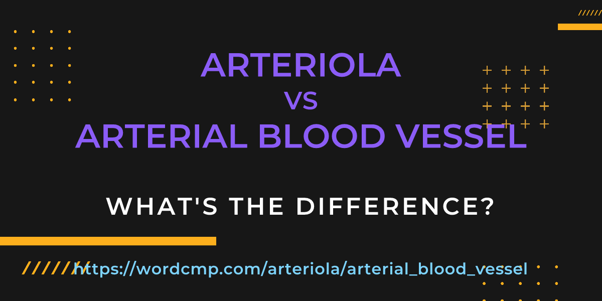 Difference between arteriola and arterial blood vessel