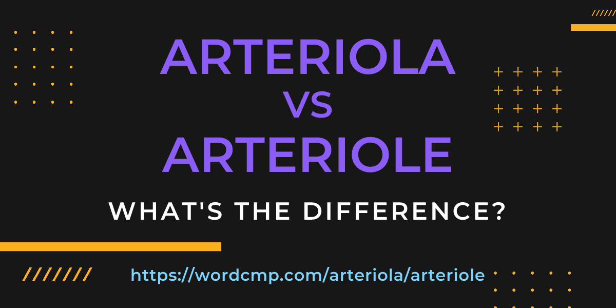 Difference between arteriola and arteriole