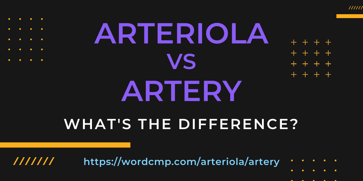 Difference between arteriola and artery