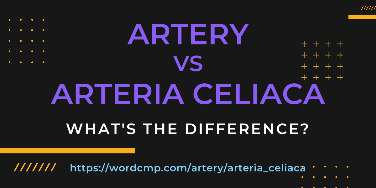 Difference between artery and arteria celiaca