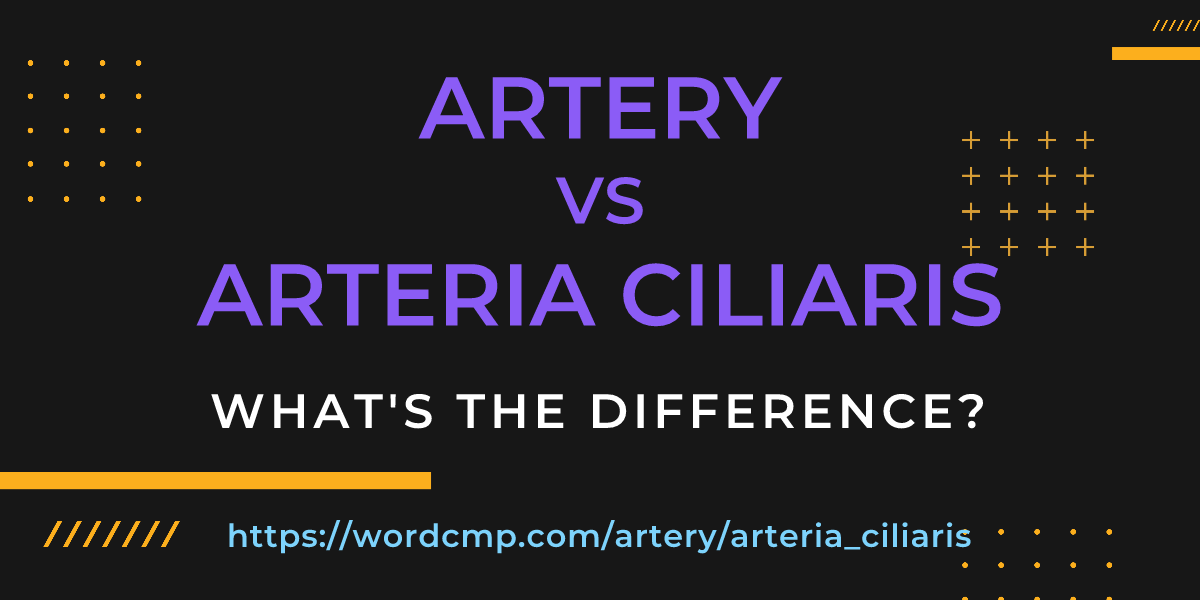 Difference between artery and arteria ciliaris