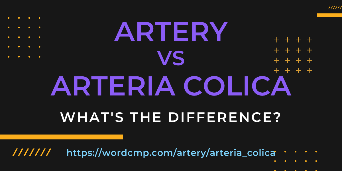 Difference between artery and arteria colica