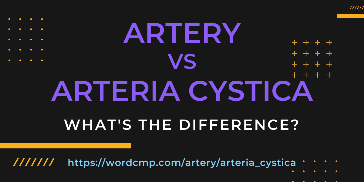 Difference between artery and arteria cystica