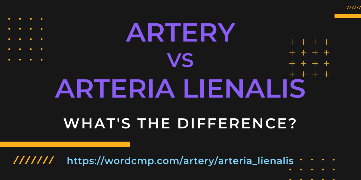 Difference between artery and arteria lienalis