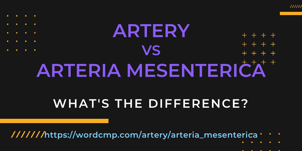 Difference between artery and arteria mesenterica
