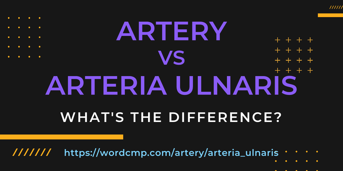 Difference between artery and arteria ulnaris