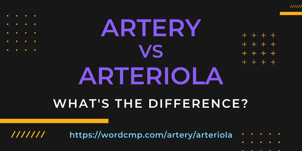 Difference between artery and arteriola