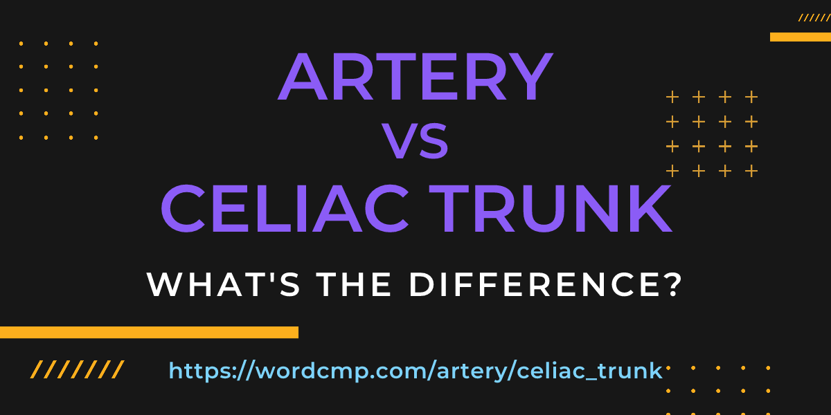 Difference between artery and celiac trunk