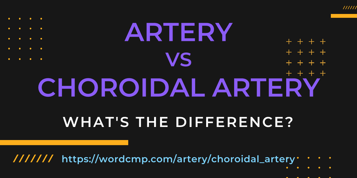 Difference between artery and choroidal artery