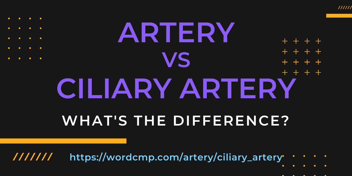 Difference between artery and ciliary artery