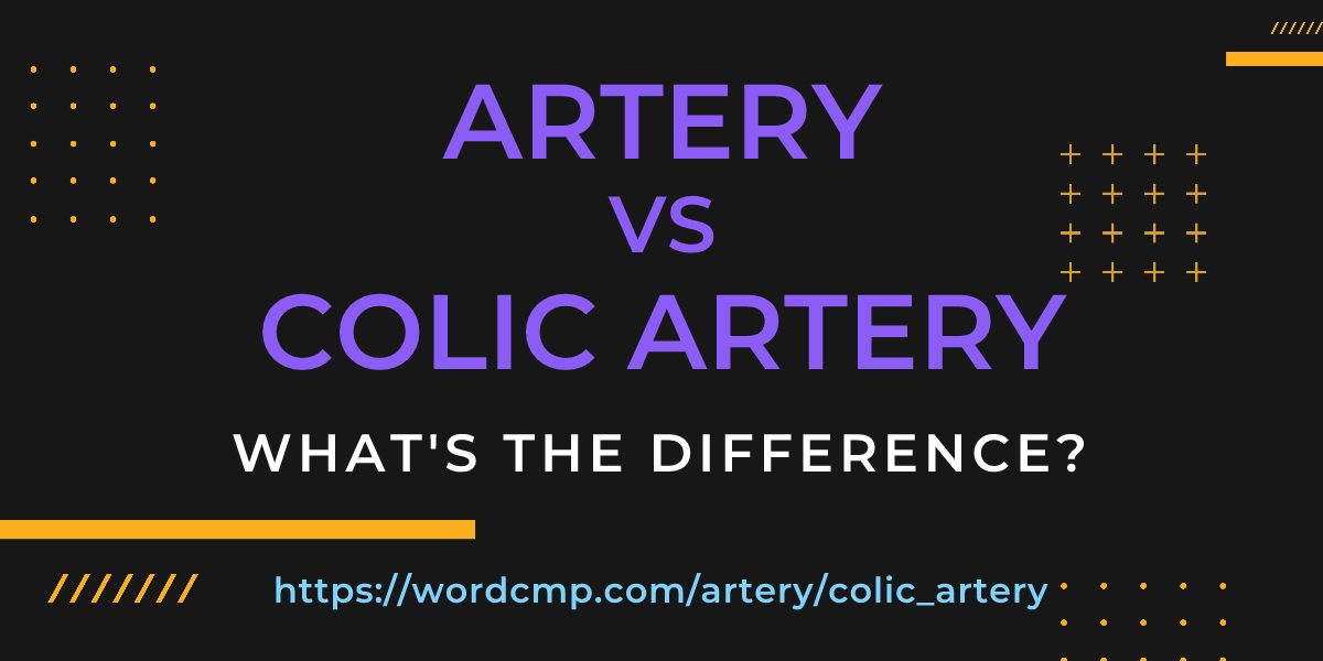 Difference between artery and colic artery