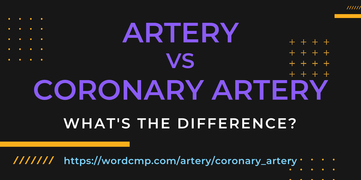 Difference between artery and coronary artery