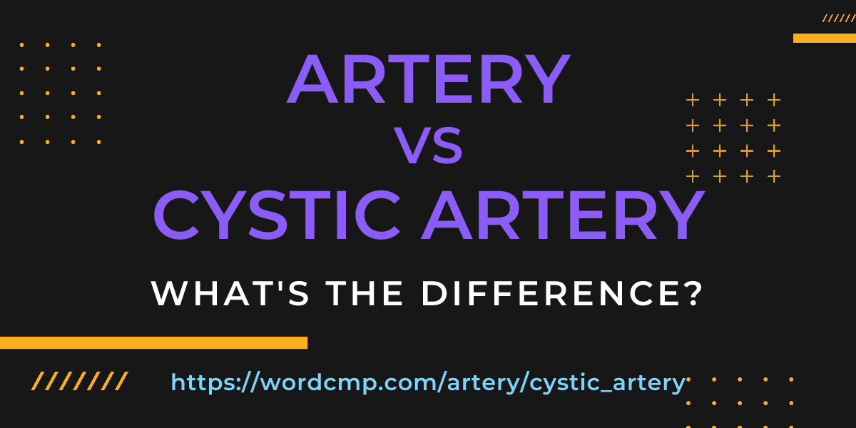 Difference between artery and cystic artery