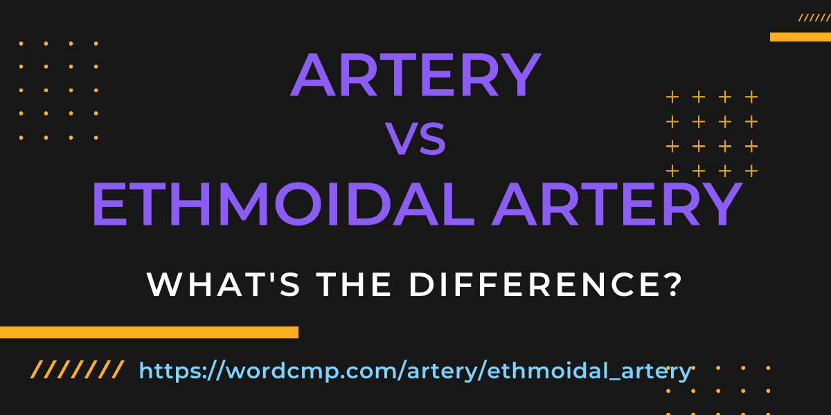 Difference between artery and ethmoidal artery