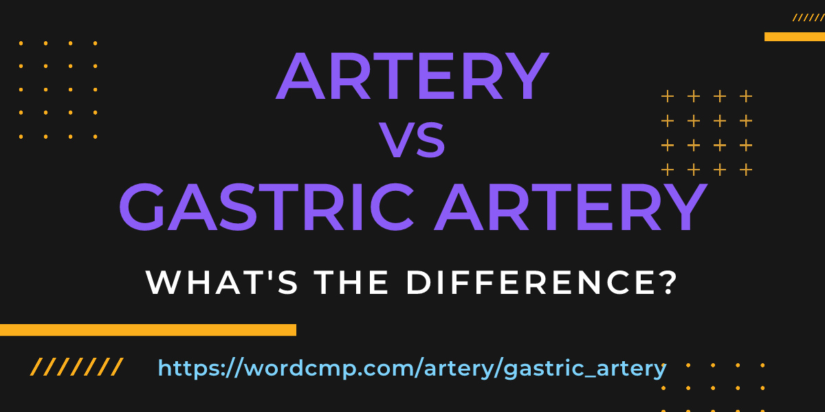 Difference between artery and gastric artery