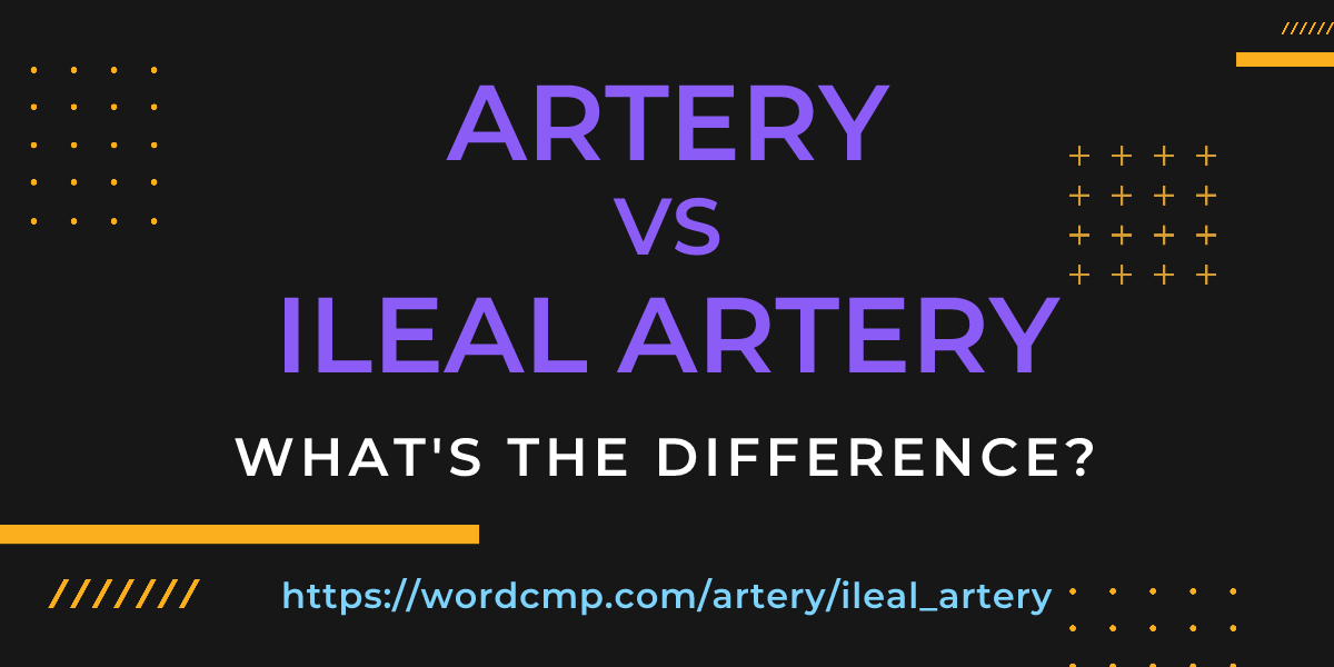 Difference between artery and ileal artery