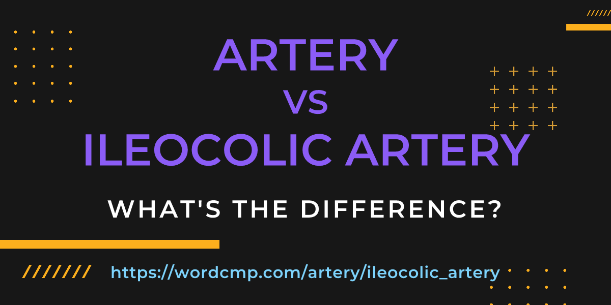 Difference between artery and ileocolic artery
